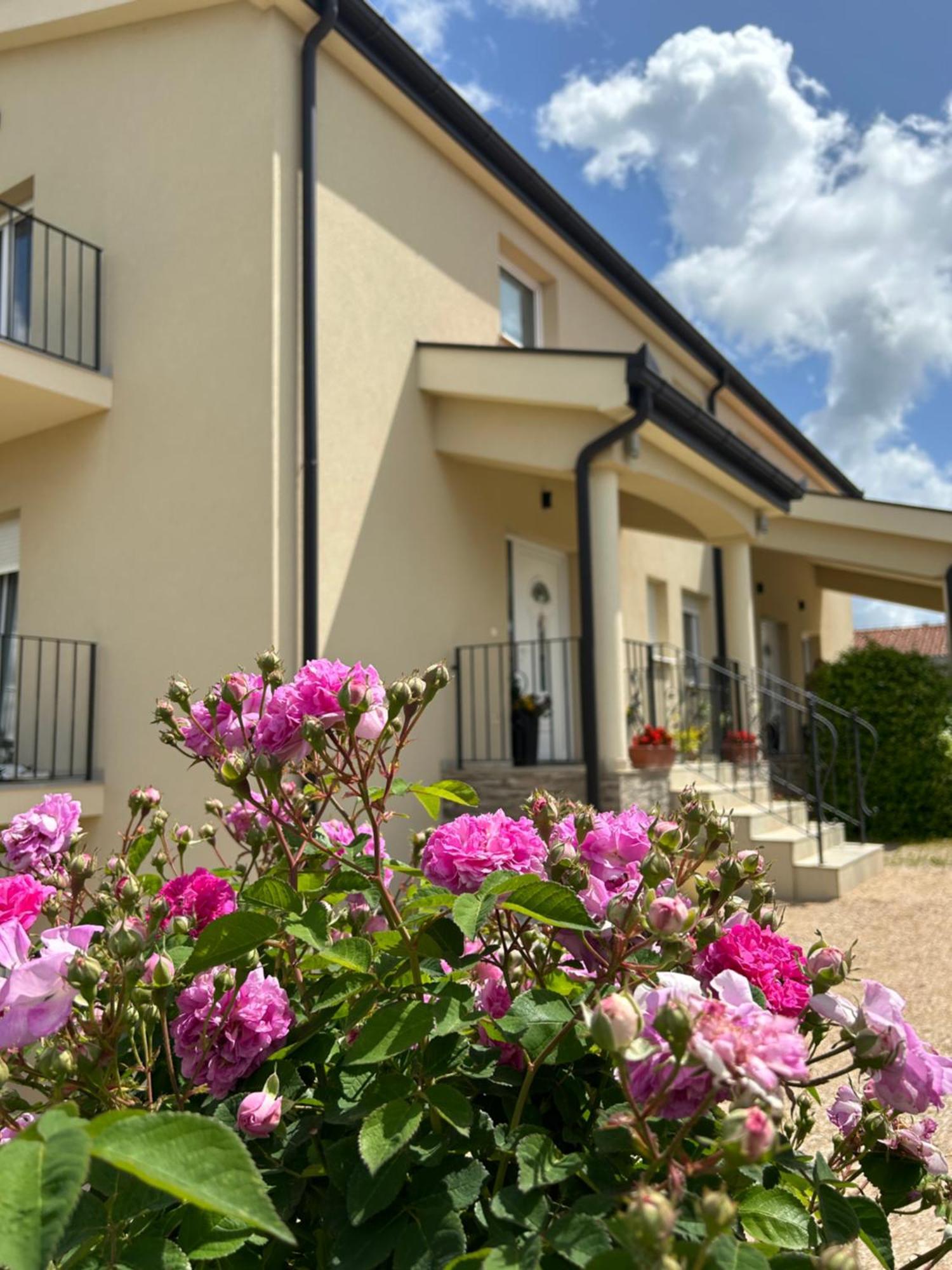 Apartman Marija Međugorje エクステリア 写真